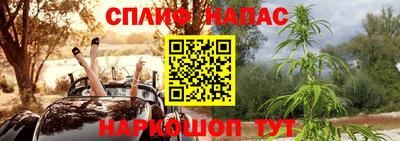 прущие грибы Волжский