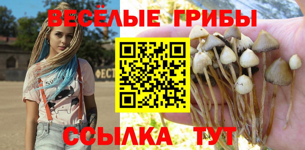 Дивногорск  Галлюциногенные грибы Magic Shrooms  Вход с VPN  Галлюциногенные грибы Cubensis 